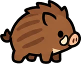 Baby Boar