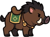 Boar